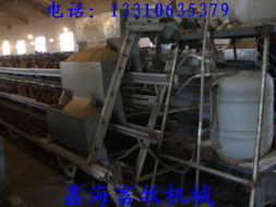 山東日照與五蓮自動喂料機 機械設備研發的技術突破與應用前景